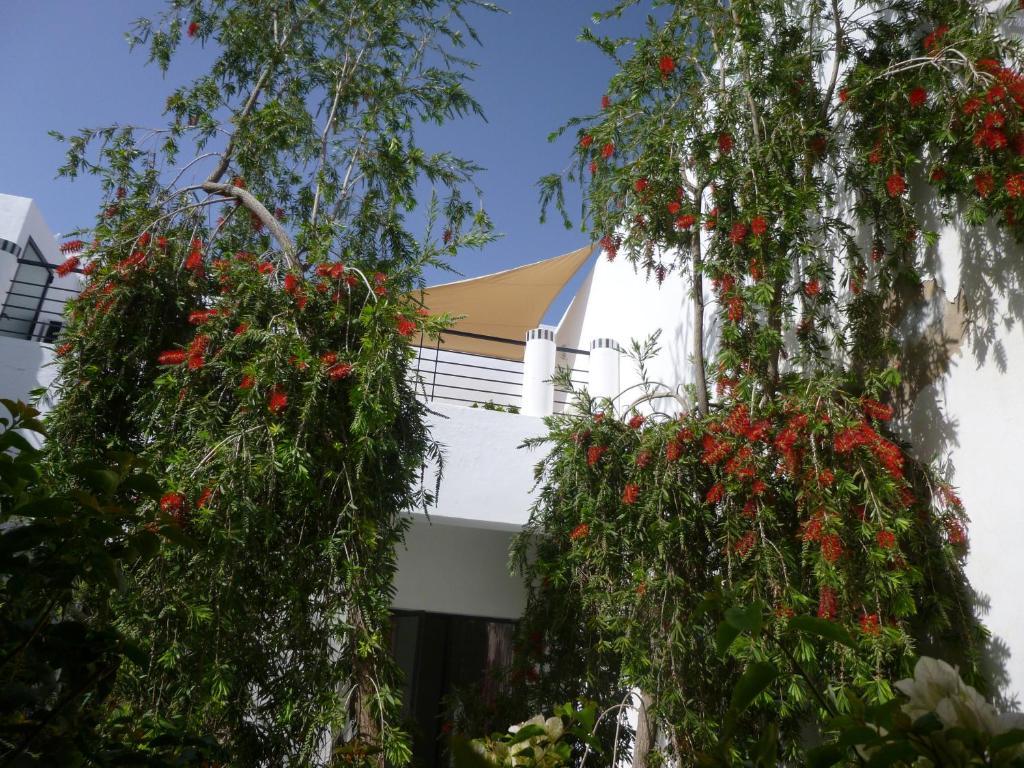 Riad Tchina Марракеш Екстер'єр фото